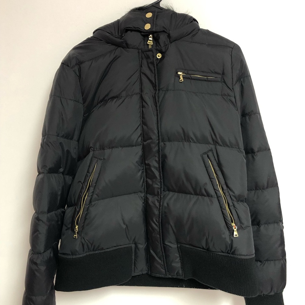 Winter Jacket